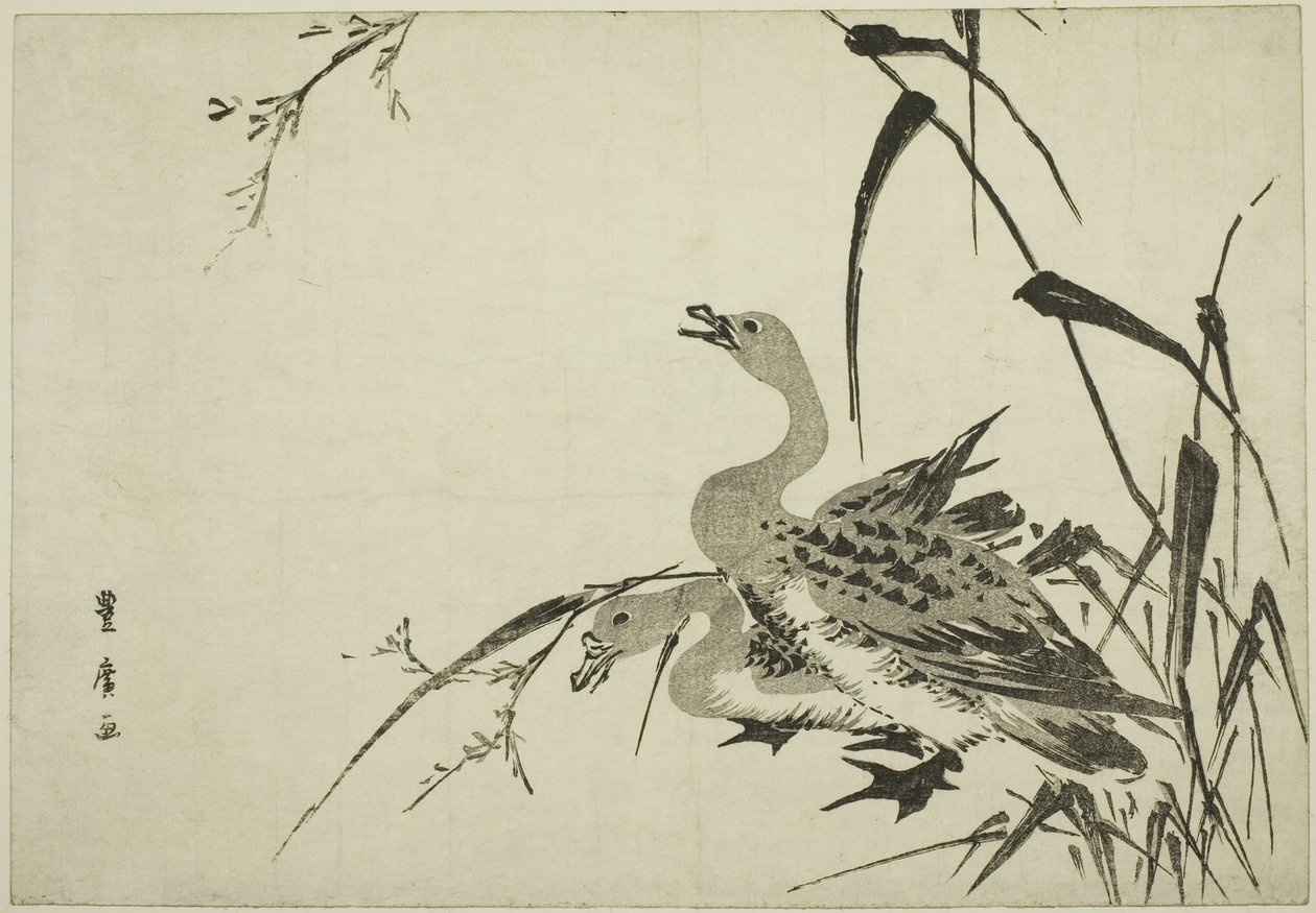 Wildgänse und Schilf von Utagawa Toyohiro