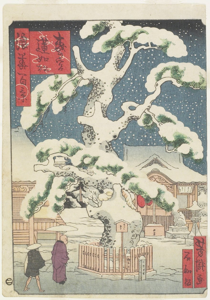 Rennyo-Kiefer bei Miyanomori von Utagawa Yoshitaki