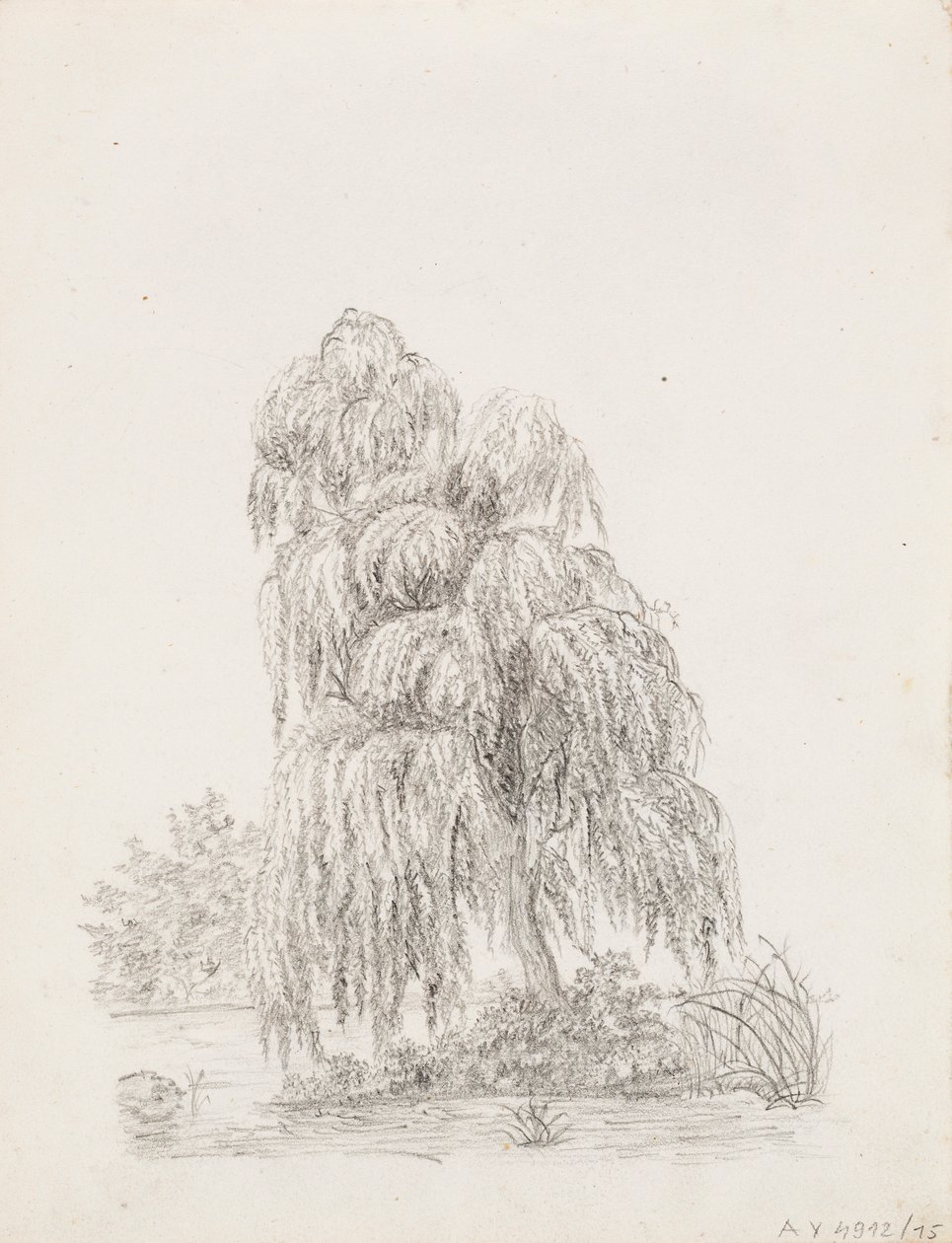 Breitblättriger Baum von Victoria Åberg