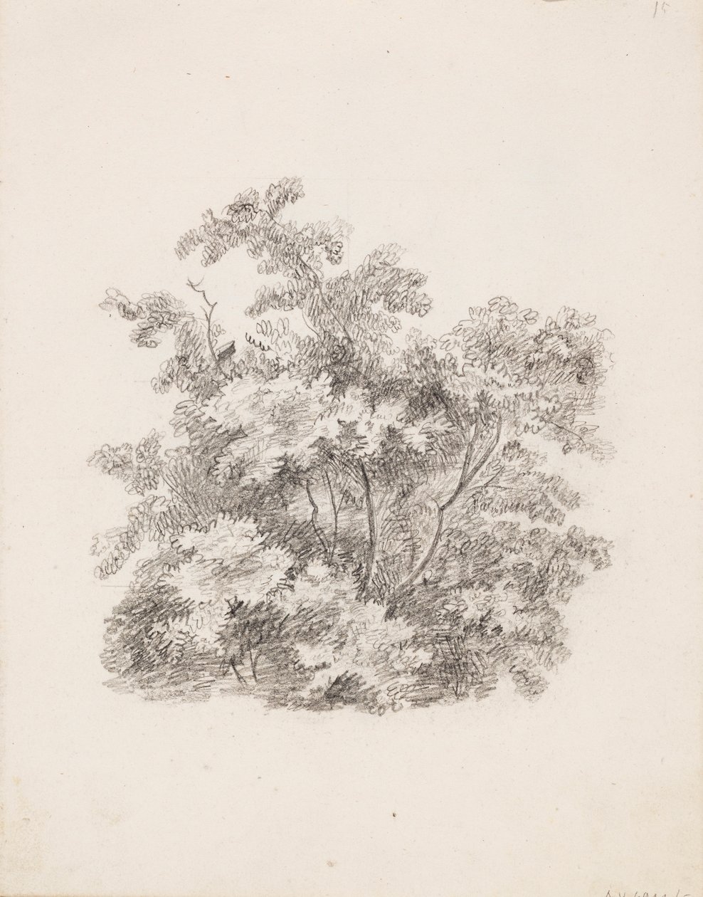 Sträucher von Victoria Åberg