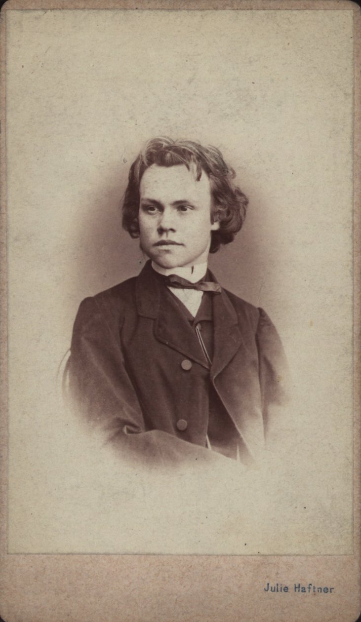 Porträt des Komponisten Anton Rubinstein von Vienna . Photo studio Julie Haftner