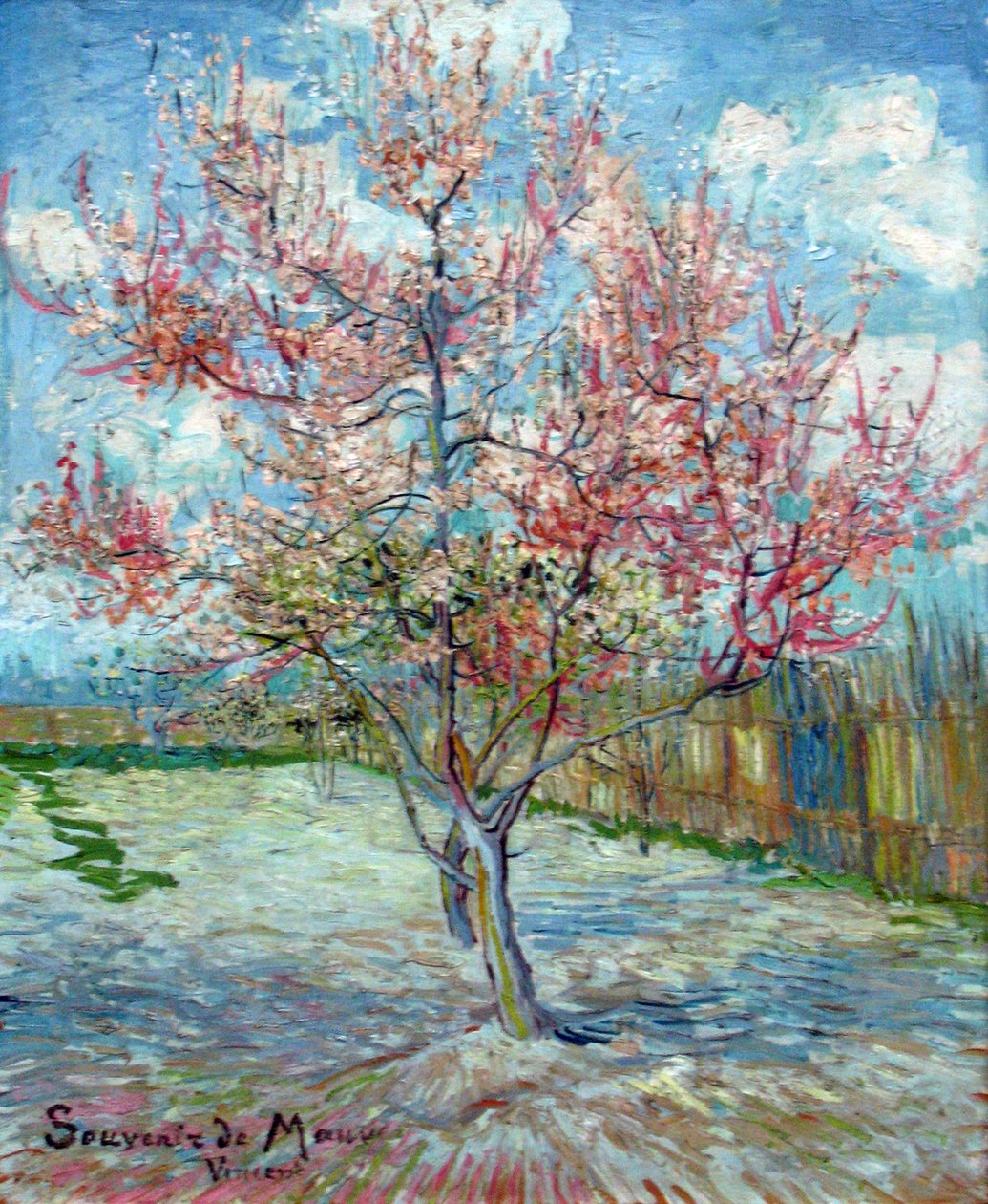 Rosa Pfirsichbäume (Souvenir de Mauve) von Vincent van Gogh