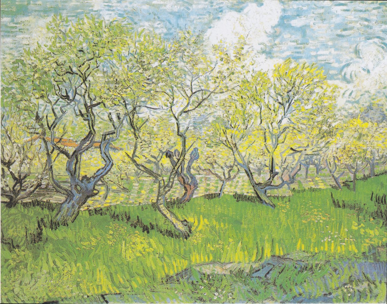 Blühender Obstgarten von Vincent van Gogh