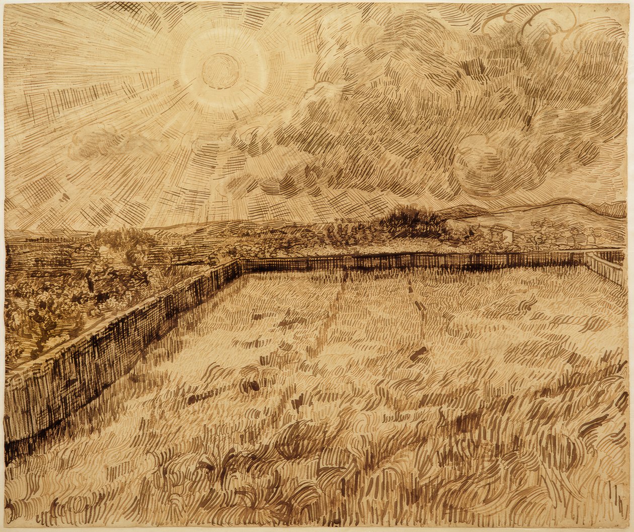 Felder und Ölbäume von Vincent van Gogh
