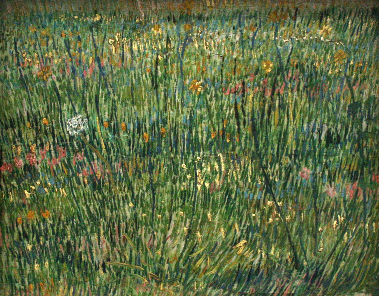 Signare Kosmetiktasche – Vincent Van Gogh 'Iris' Design, 25x16x8 Cm, Mit Reißverschluss