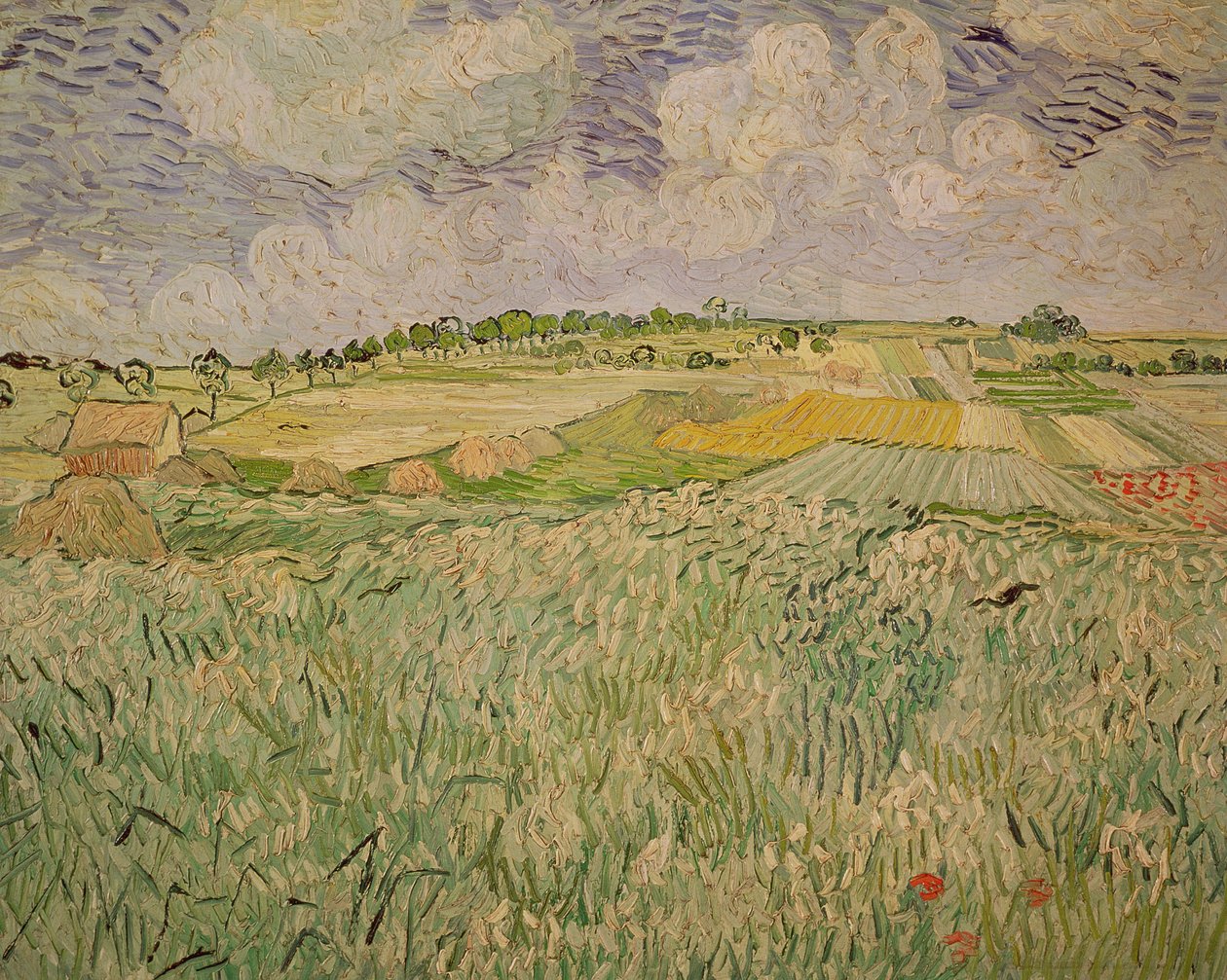 Die Ebene bei Auvers, 1890 von Vincent van Gogh