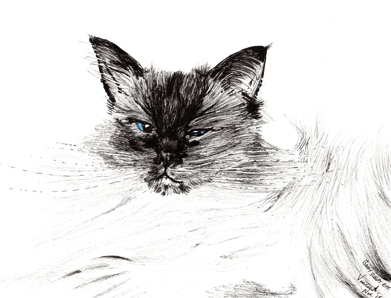 Schläfriges Auge, 2015 von Vincent Alexander Booth