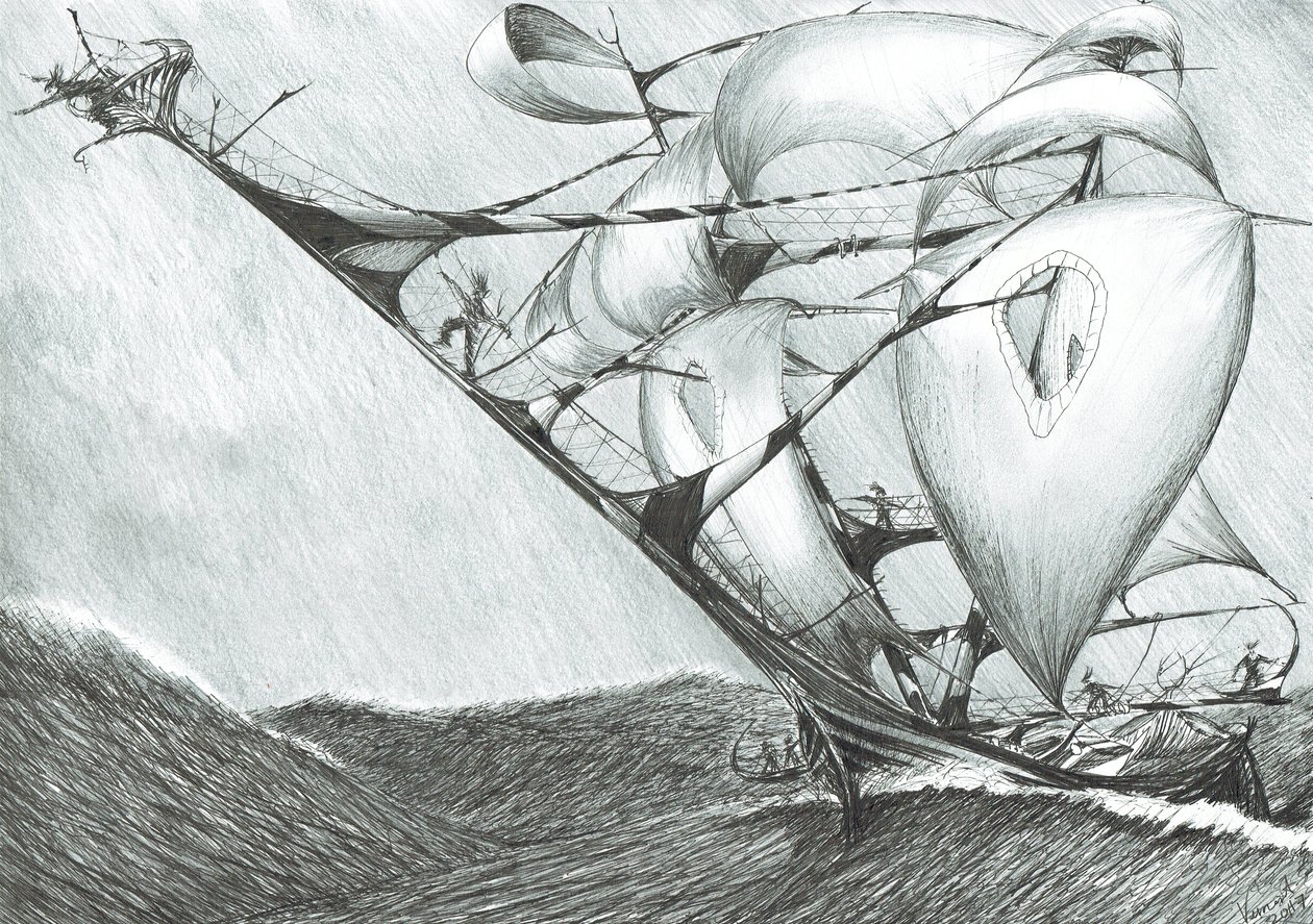 Sturmerschaffer Kaspisches Meer, 2017 von Vincent Alexander Booth