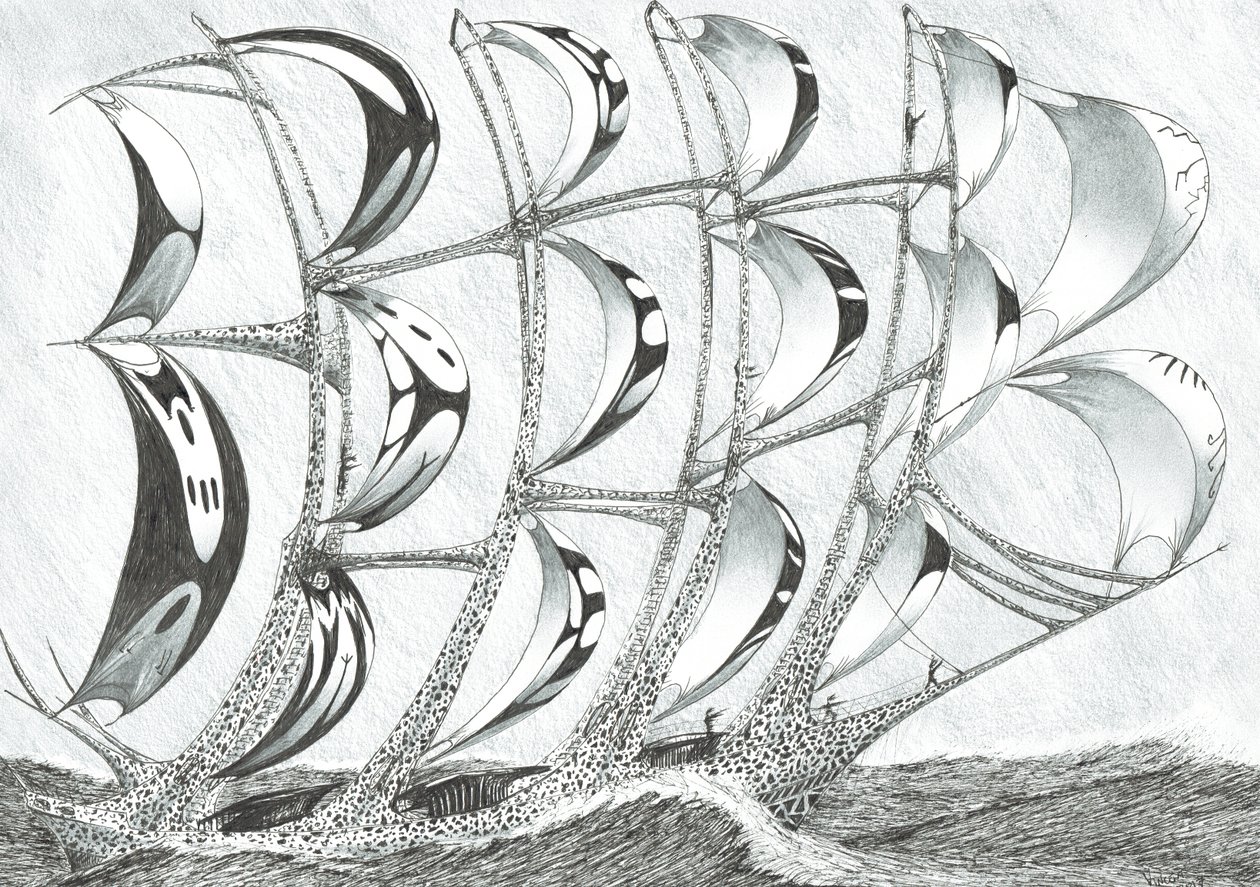 Sturmerschaffer Lakkadivensee, 2017 von Vincent Alexander Booth