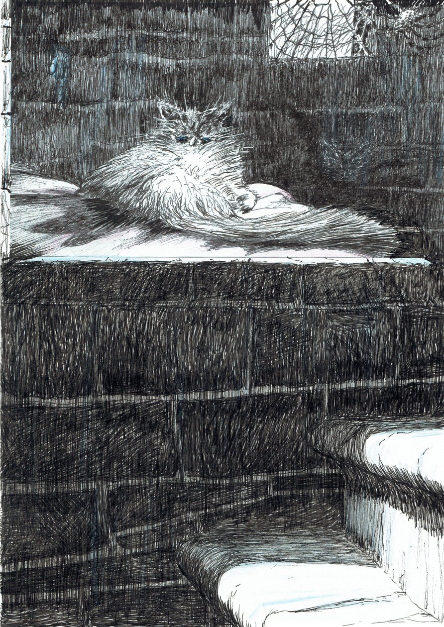 Seite 21, Das Schloss im Wald von Findhorn, 2006 von Vincent Alexander Booth