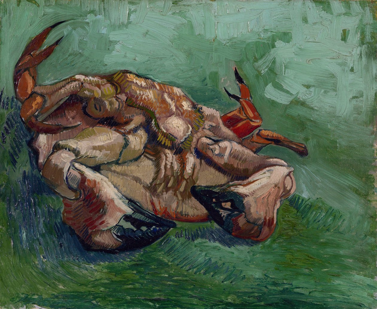Eine Krabbe auf dem Rücken von Vincent van Gogh