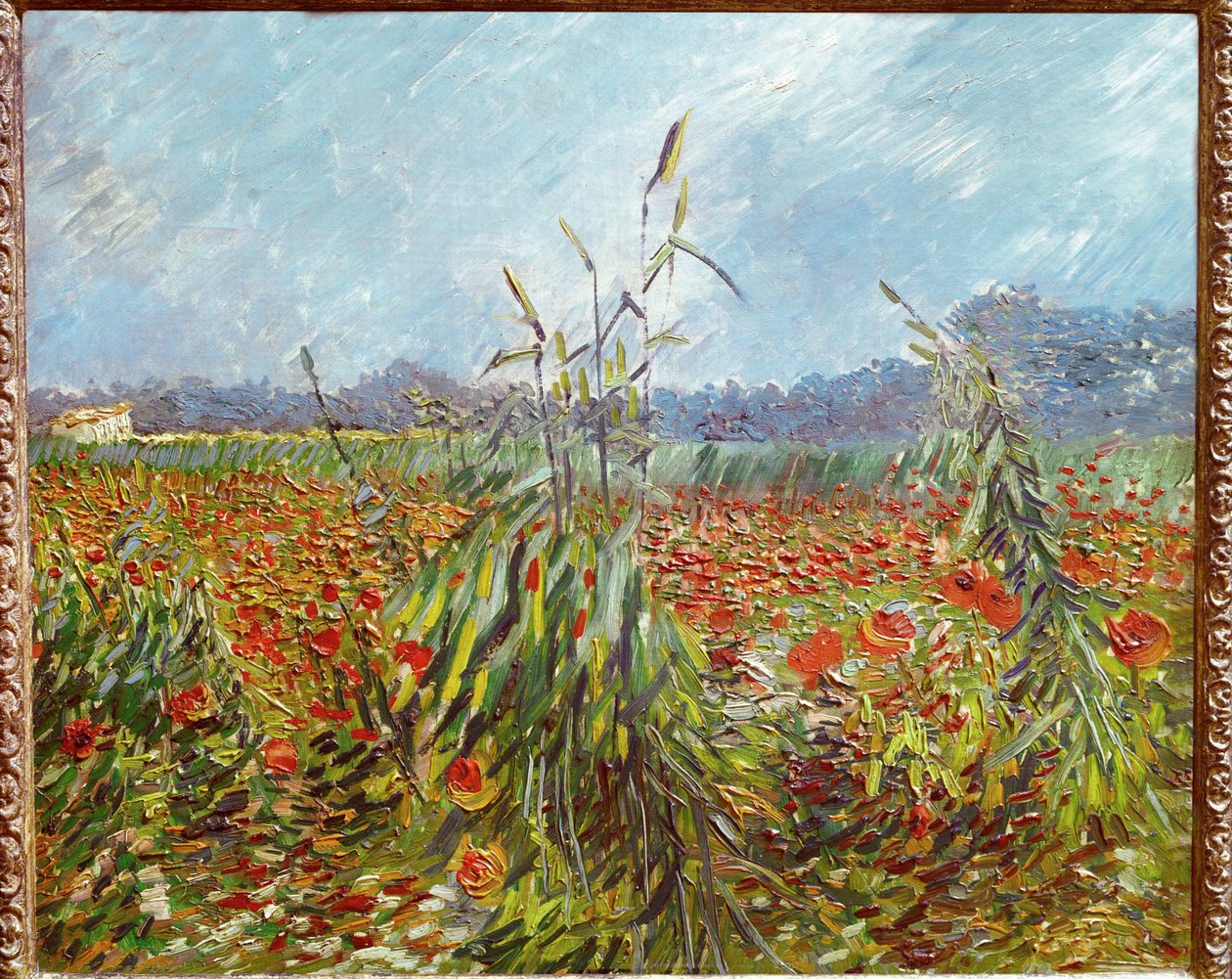 Kornfelder und Mohnblumen von Vincent van Gogh