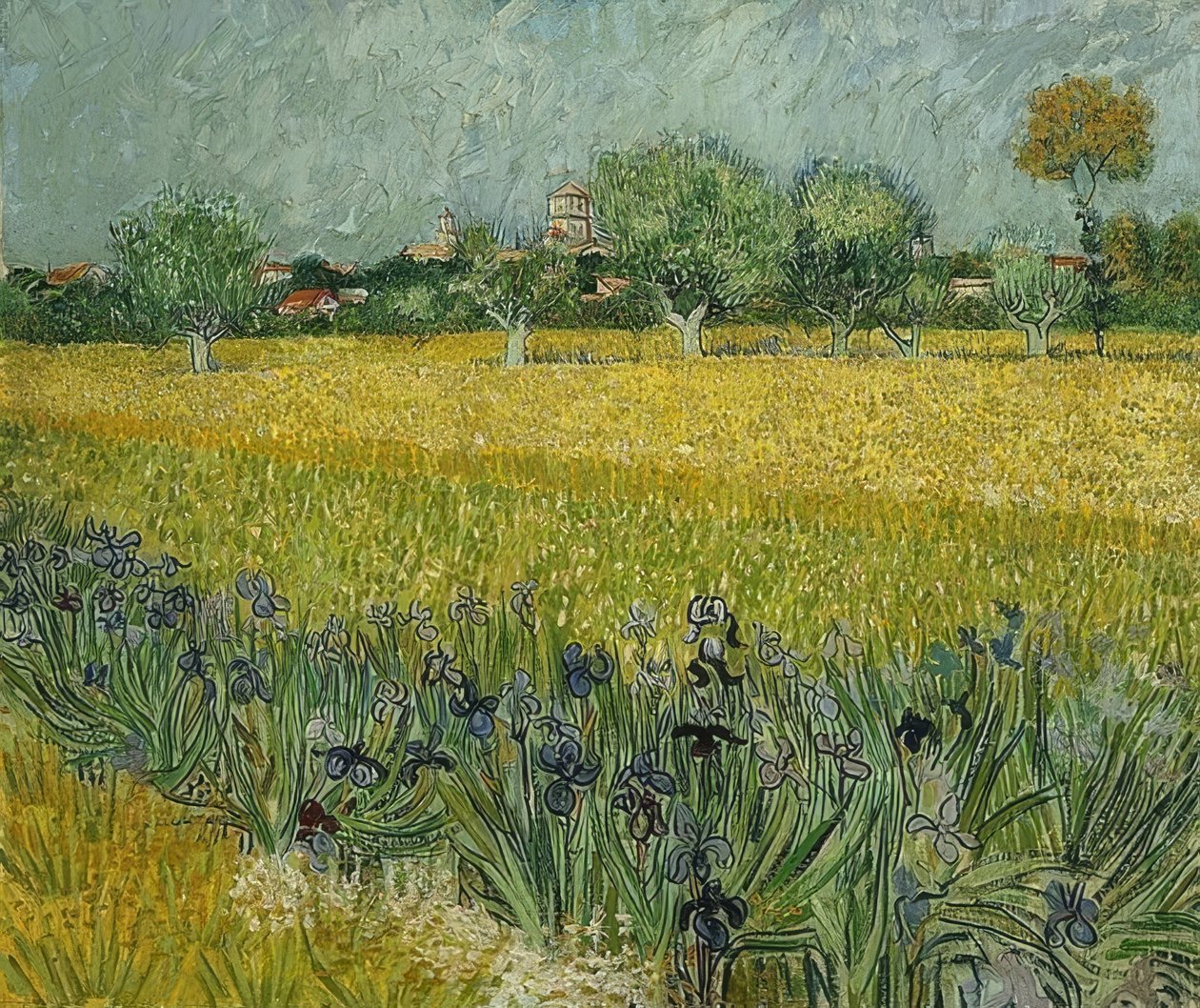 Feld mit Schwertlilien in der Nähe von Arles von Vincent van Gogh