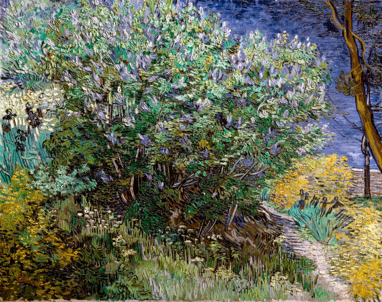 Der Fliederbusch. Vincent VAN GOGH (1853-1890) von Vincent van Gogh