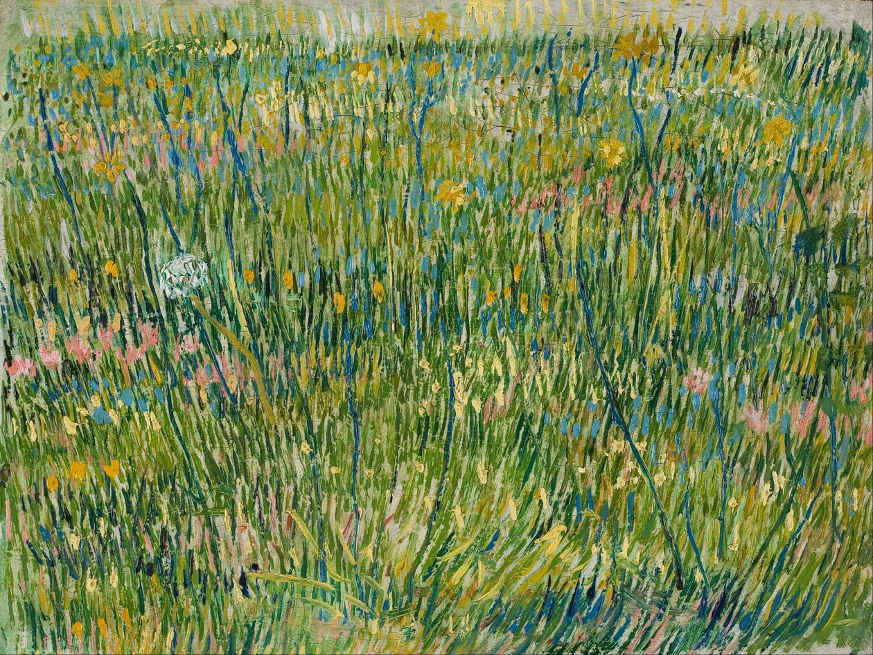 Grasfleck von Vincent van Gogh