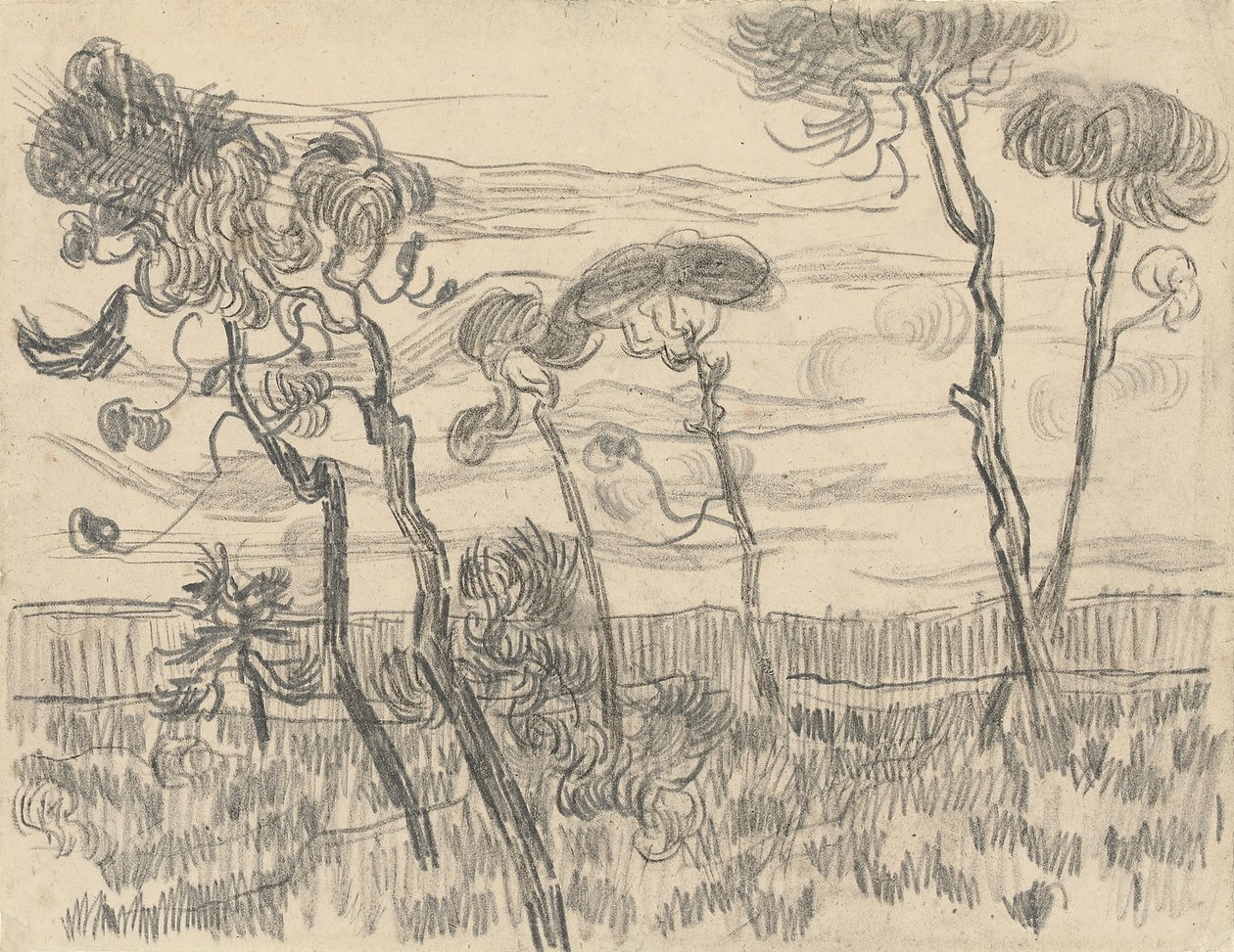 Sechs Kiefern an der Umfassungsmauer, 1899 von Vincent van Gogh