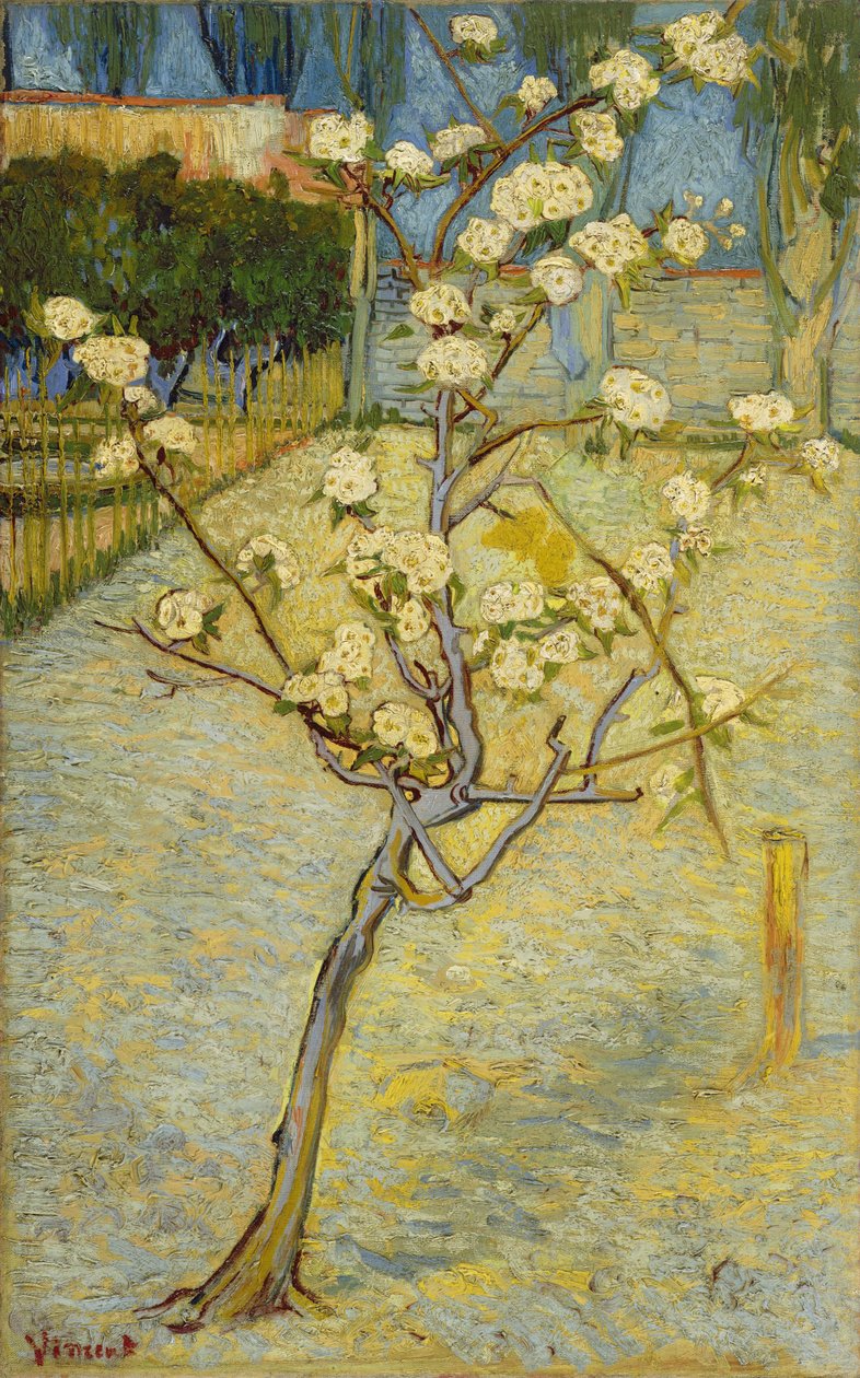 Kleiner Birnbaum in Blüte von Vincent van Gogh