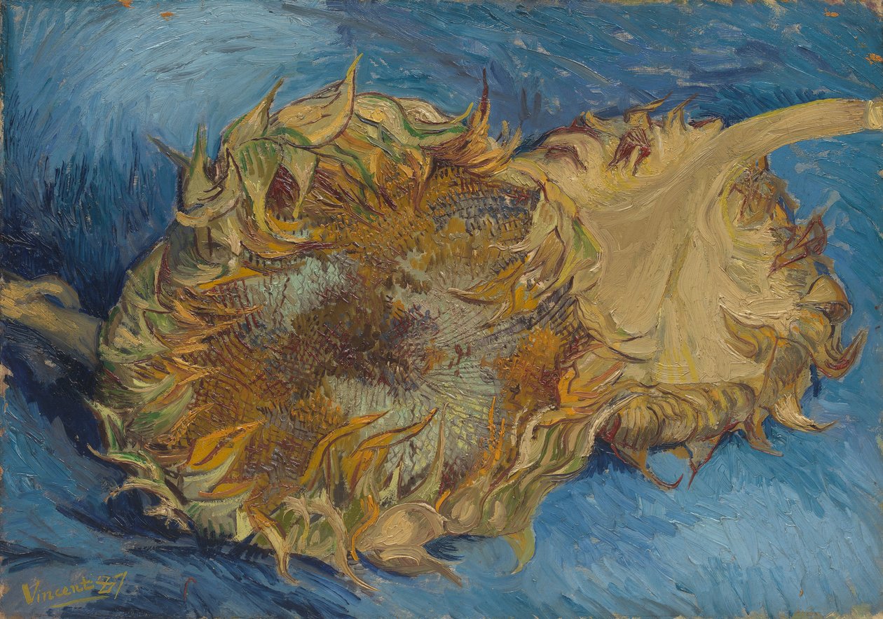 Sonnenblumen, 1887 von Vincent van Gogh