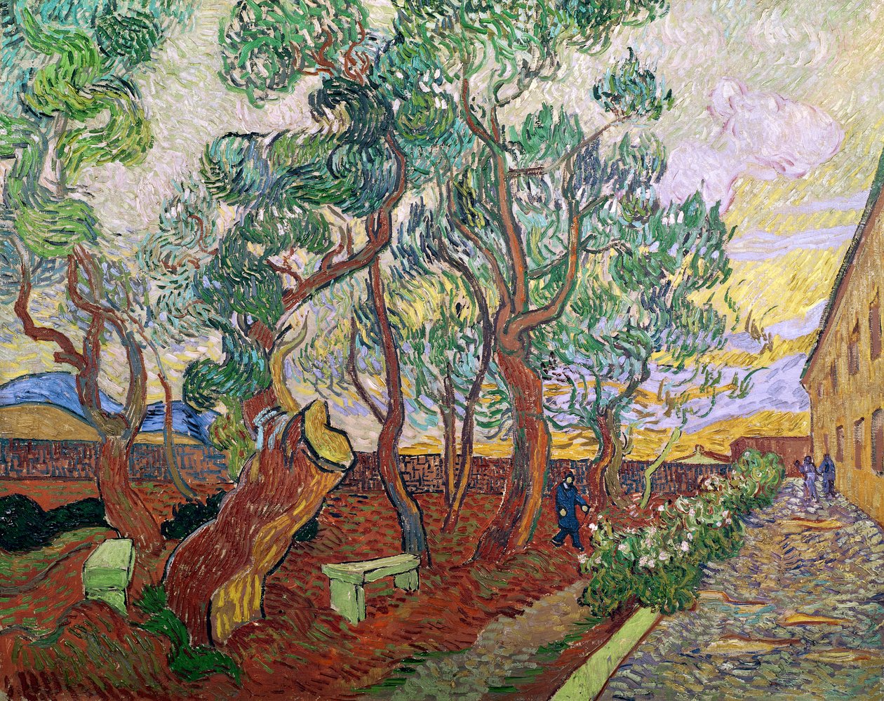 Der Garten des St. Pauls Krankenhauses in St. Remy, 1889 von Vincent van Gogh