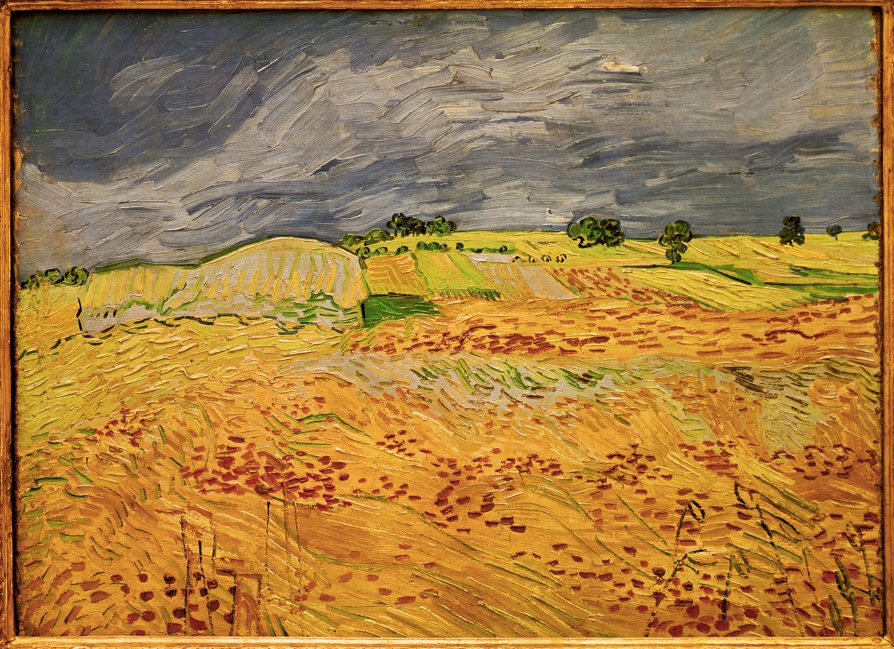 Die Ebene bei Auvers von Vincent van Gogh