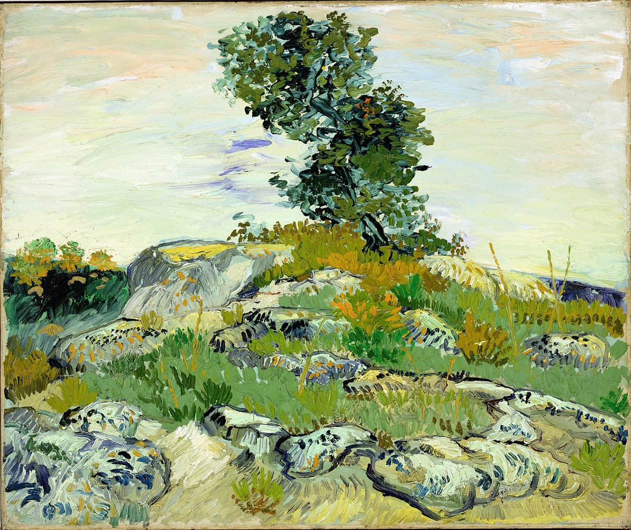 Die Felsen von Vincent van Gogh