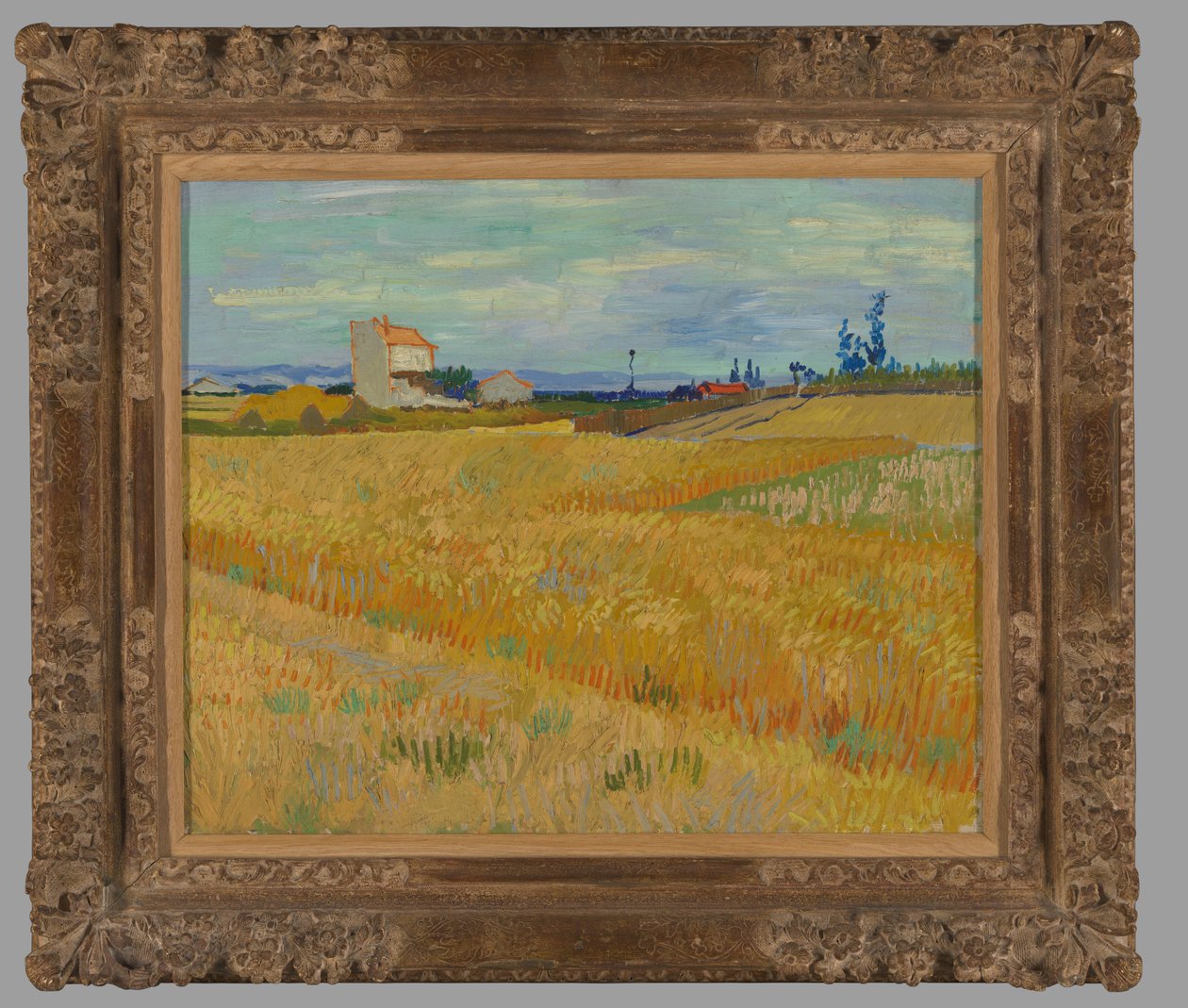Weizenfeld von Vincent van Gogh