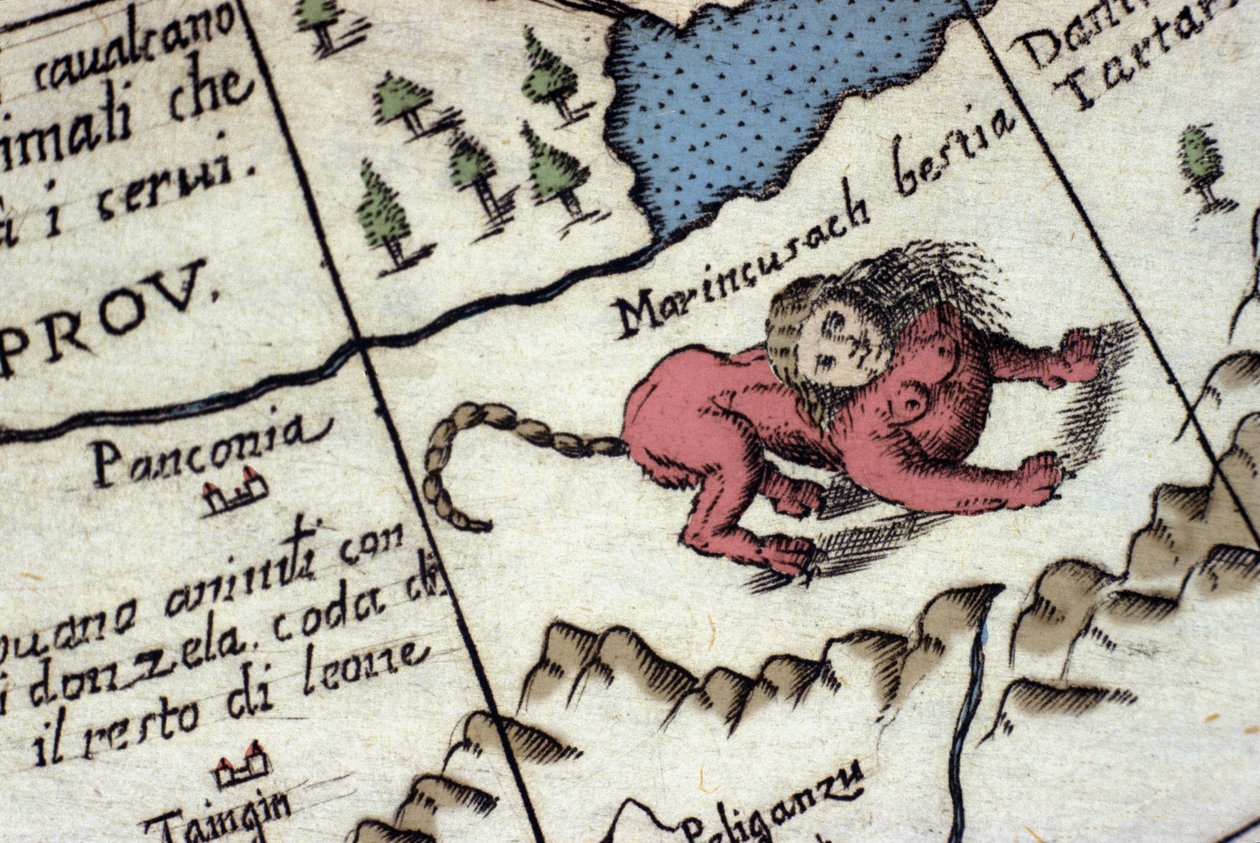 Darstellung eines Mantikors, einer fantastischen Kreatur mit einem menschlichen Kopf (oft mit Hörnern, blauen Augen und drei Zahnreihen), einem Skorpion- oder Drachenschwanz und einem Löwenkörper. Detail einer Weltkarte von Vincenzo Coronelli (1650-1718).  von Vincenzo Maria Coronelli
