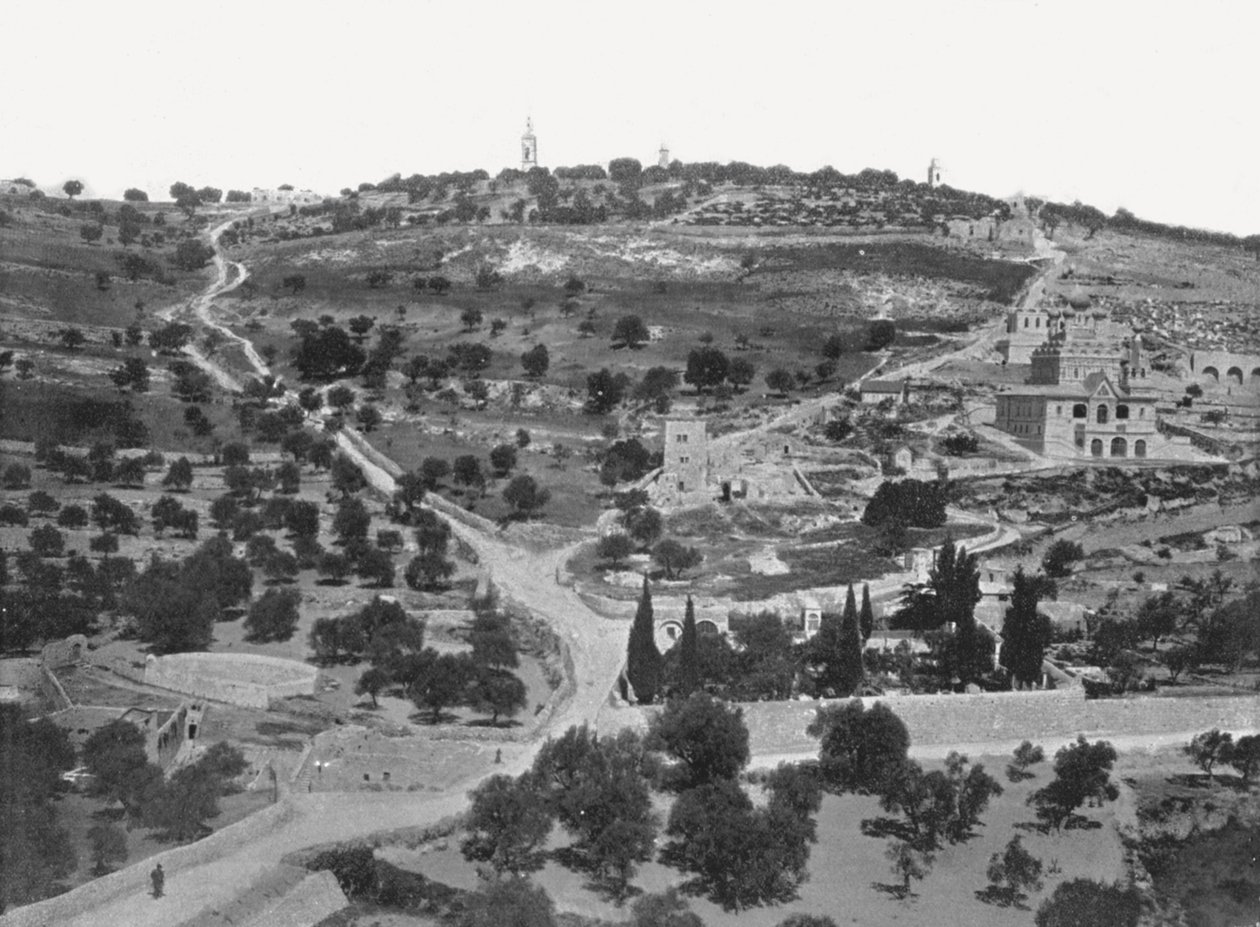 Ölberg, Jerusalem, Palästina von W and S Ltd