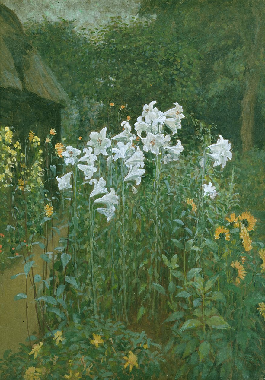 Madonnenlilien im Garten von Walter Crane