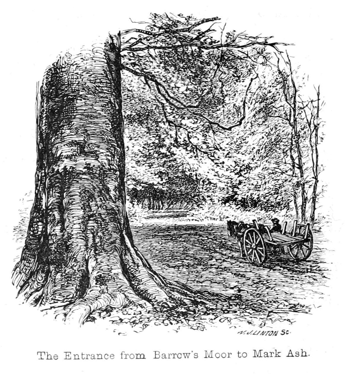 Der Eingang von Barrows Moor nach Mark Ash von Walter Crane