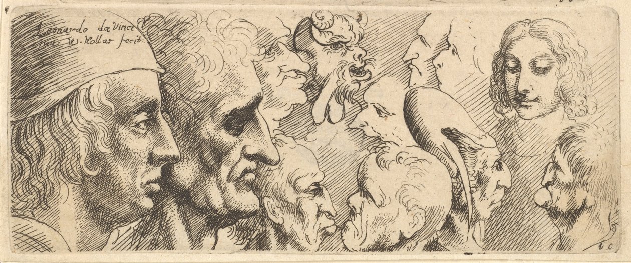 Eine Vielzahl von Köpfen, 1625-77 von Wenceslaus Hollar