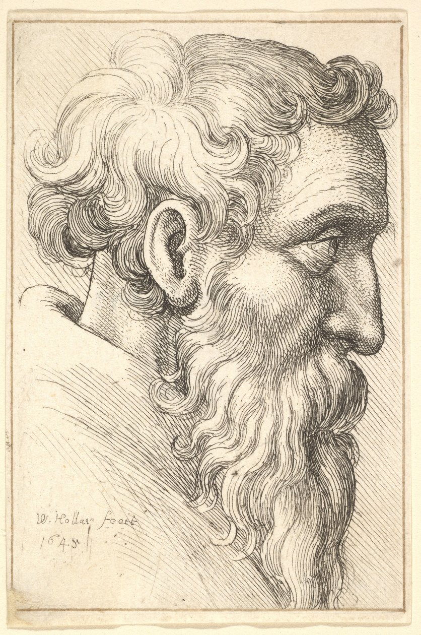 Bärtiger alter Mann im Profil nach rechts von Wenceslaus Hollar
