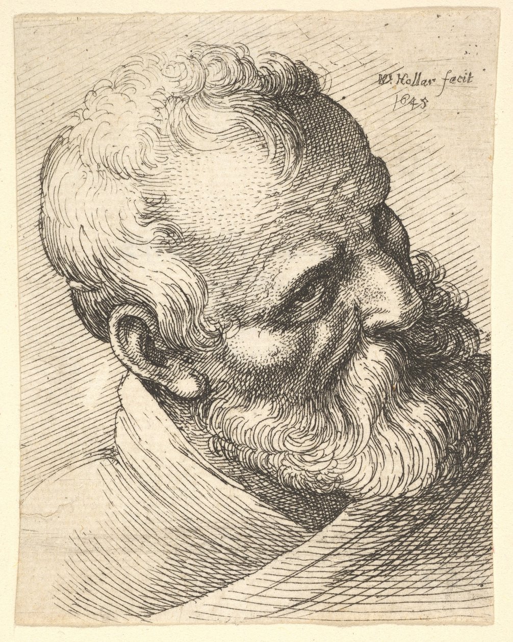 Bärtiger alter Mann mit geneigtem Kopf von Wenceslaus Hollar