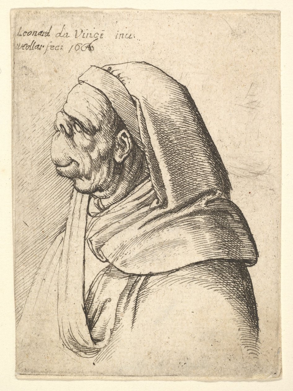 Büste eines Mannes mit kleiner Stupsnase und sehr hoher Oberlippe, mit Kapuze, im Profil, 1666 von Wenceslaus Hollar