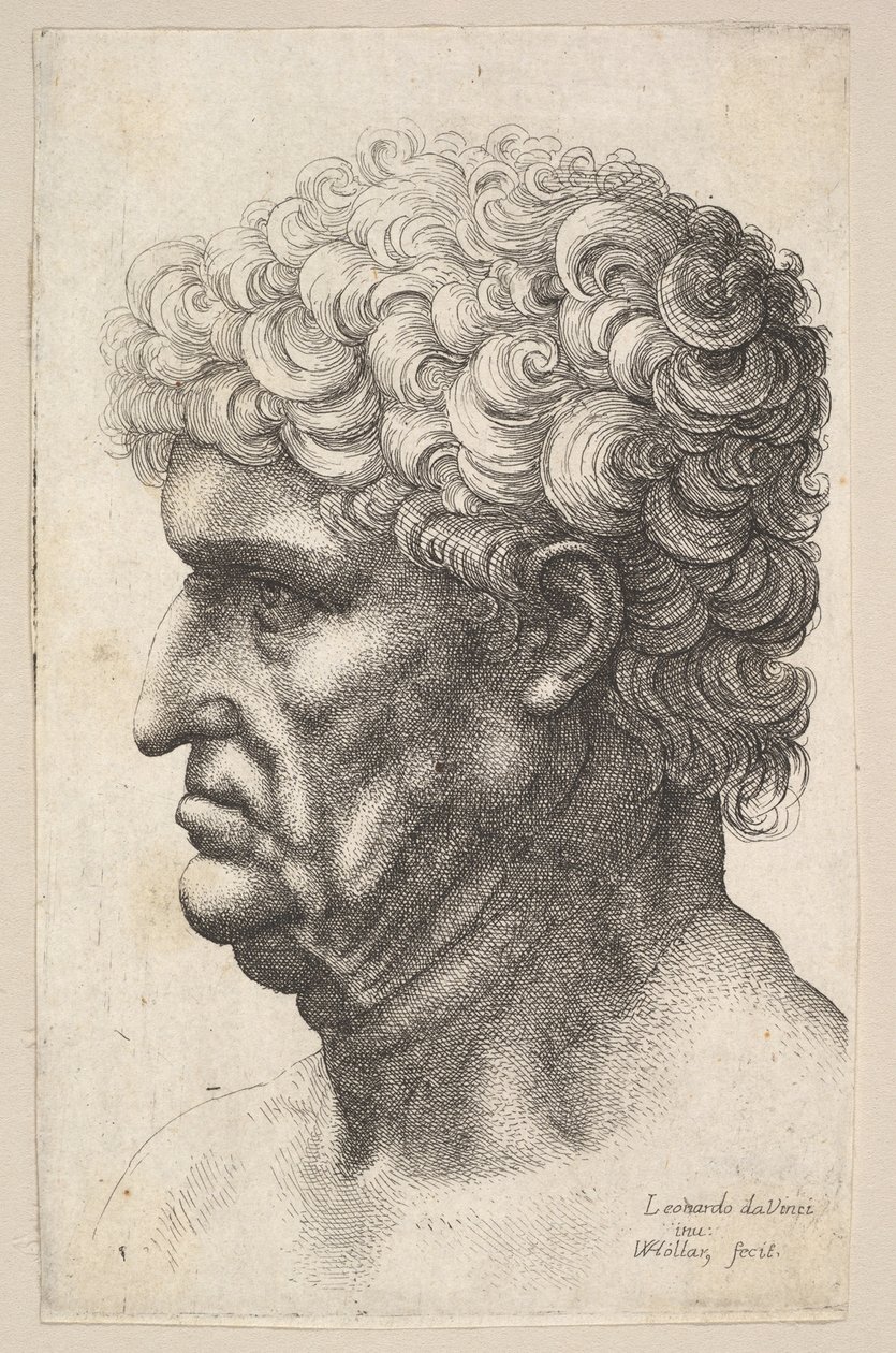 Kopf eines Mannes mit dickem lockigem Haar im Profil nach links von Wenceslaus Hollar