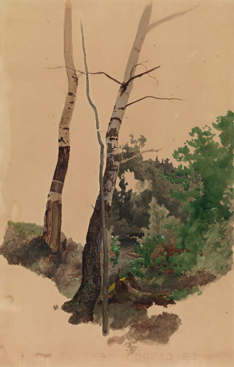 Zwei nackte Birkenstämme und Sträucher von Werner Holmberg