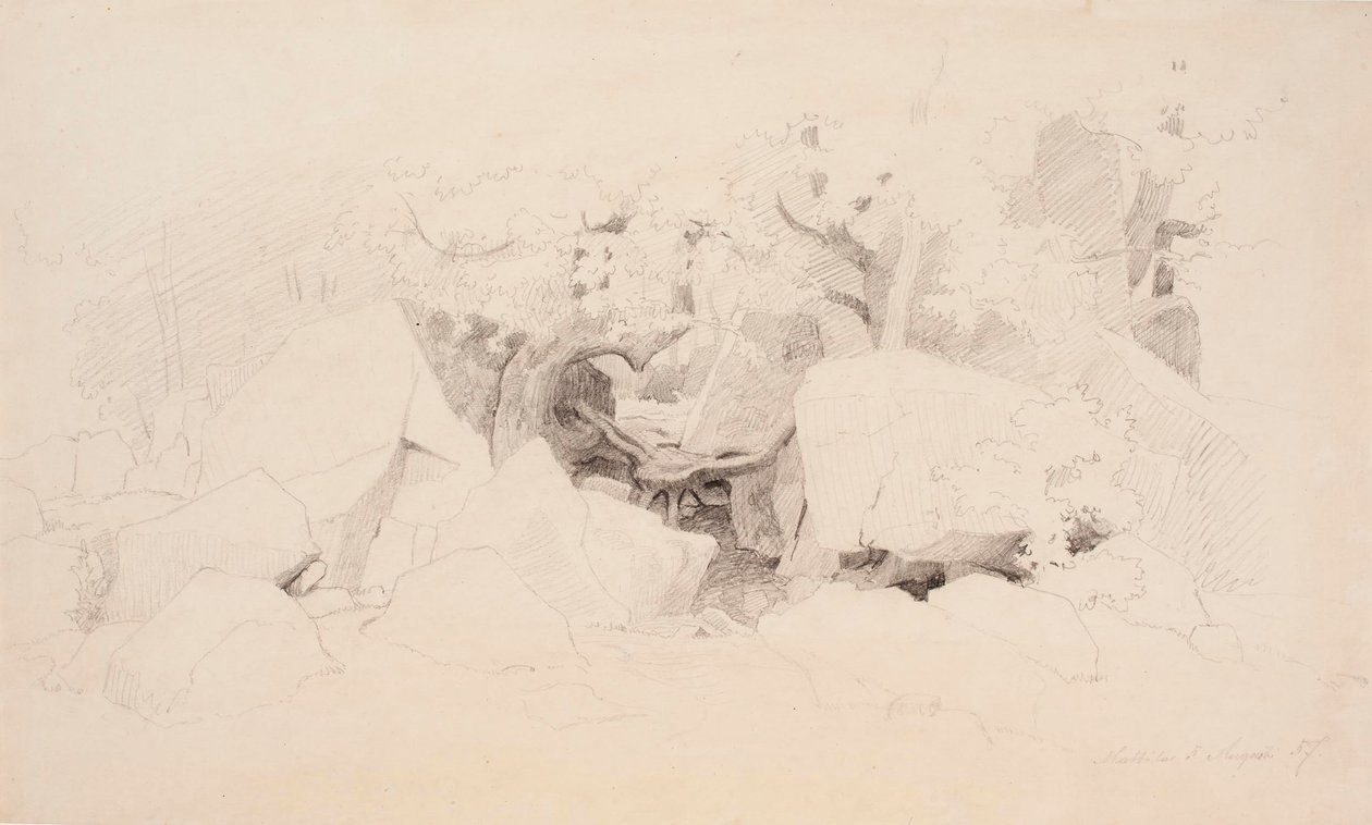 Felsbrocken im Wald von Werner Holmberg