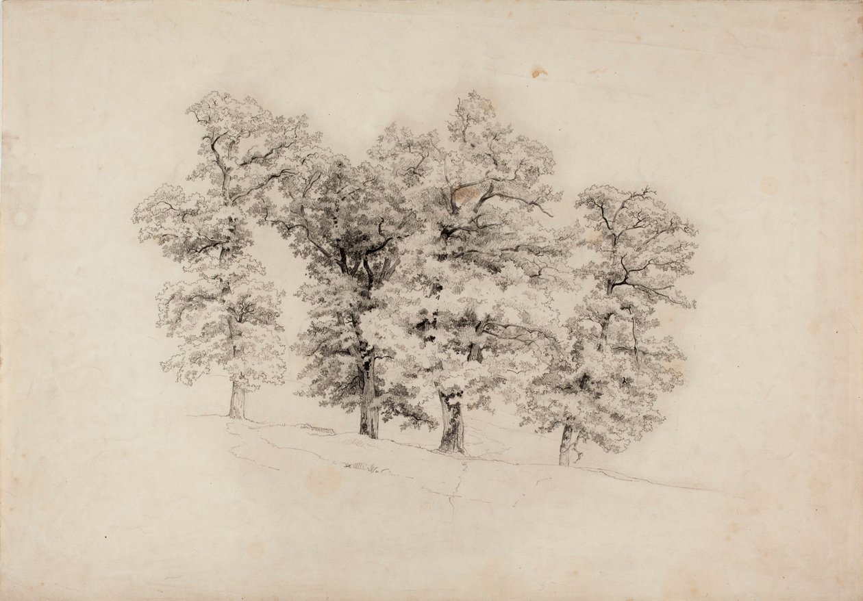 Ohne Titel von Werner Holmberg