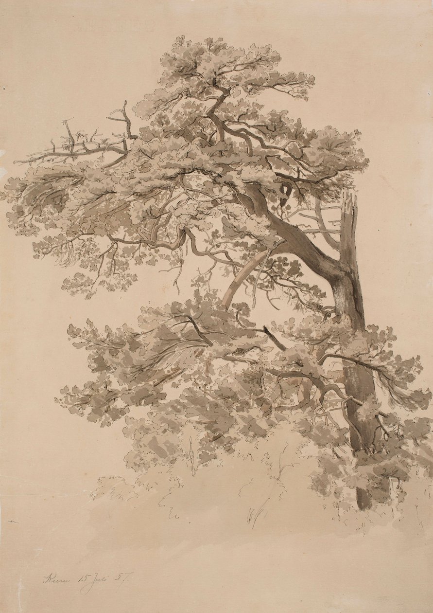 Ohne Titel von Werner Holmberg