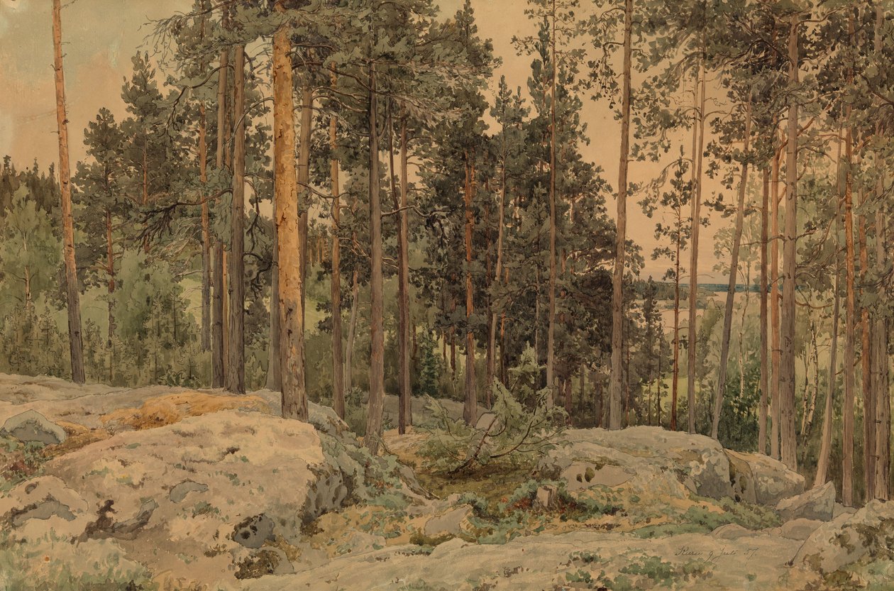Ohne Titel von Werner Holmberg