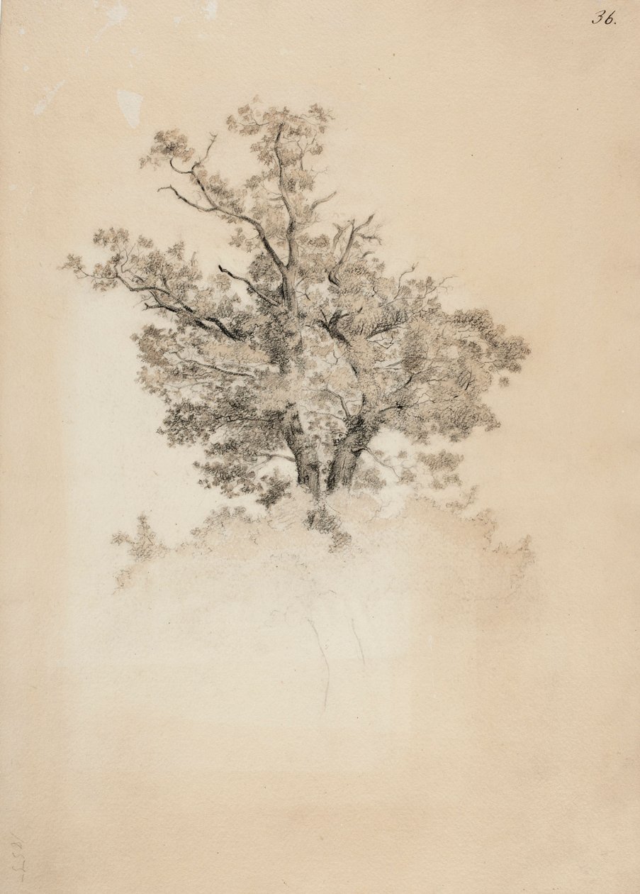 Ohne Titel von Werner Holmberg