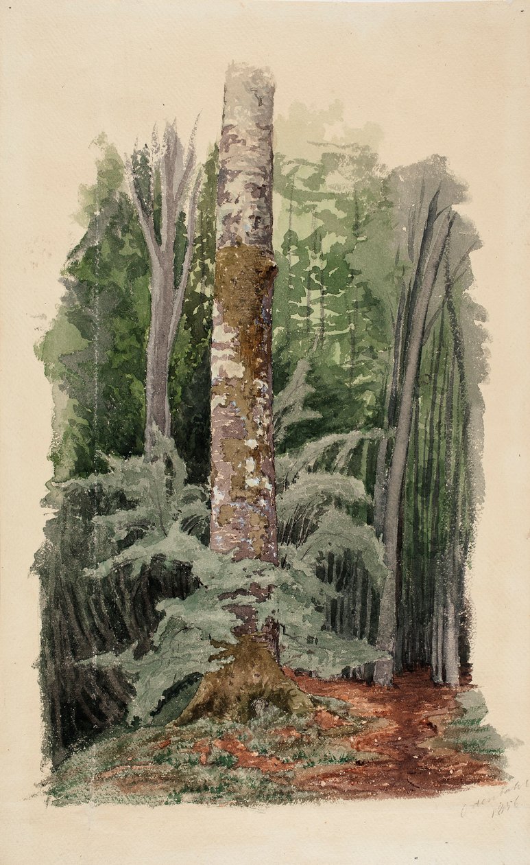 Ohne Titel von Werner Holmberg