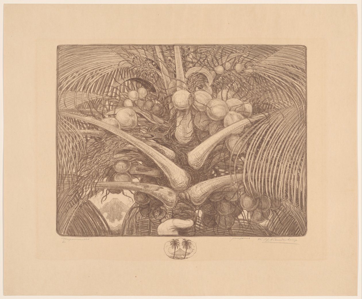Spitze einer Kokospalme von Wijnand Otto Jan Nieuwenkamp (signed by artist)