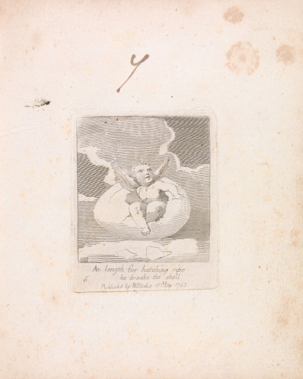 Für Kinder. Die Tore des Paradieses, Tafel 8, Endlich, zum Schlüpfen reif, bricht er die Schale von William Blake