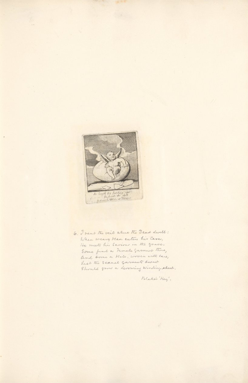 Für die Geschlechter. Die Tore des Paradieses, Tafel 8, Endlich, zum Schlüpfen reif, bricht er die Schale von William Blake