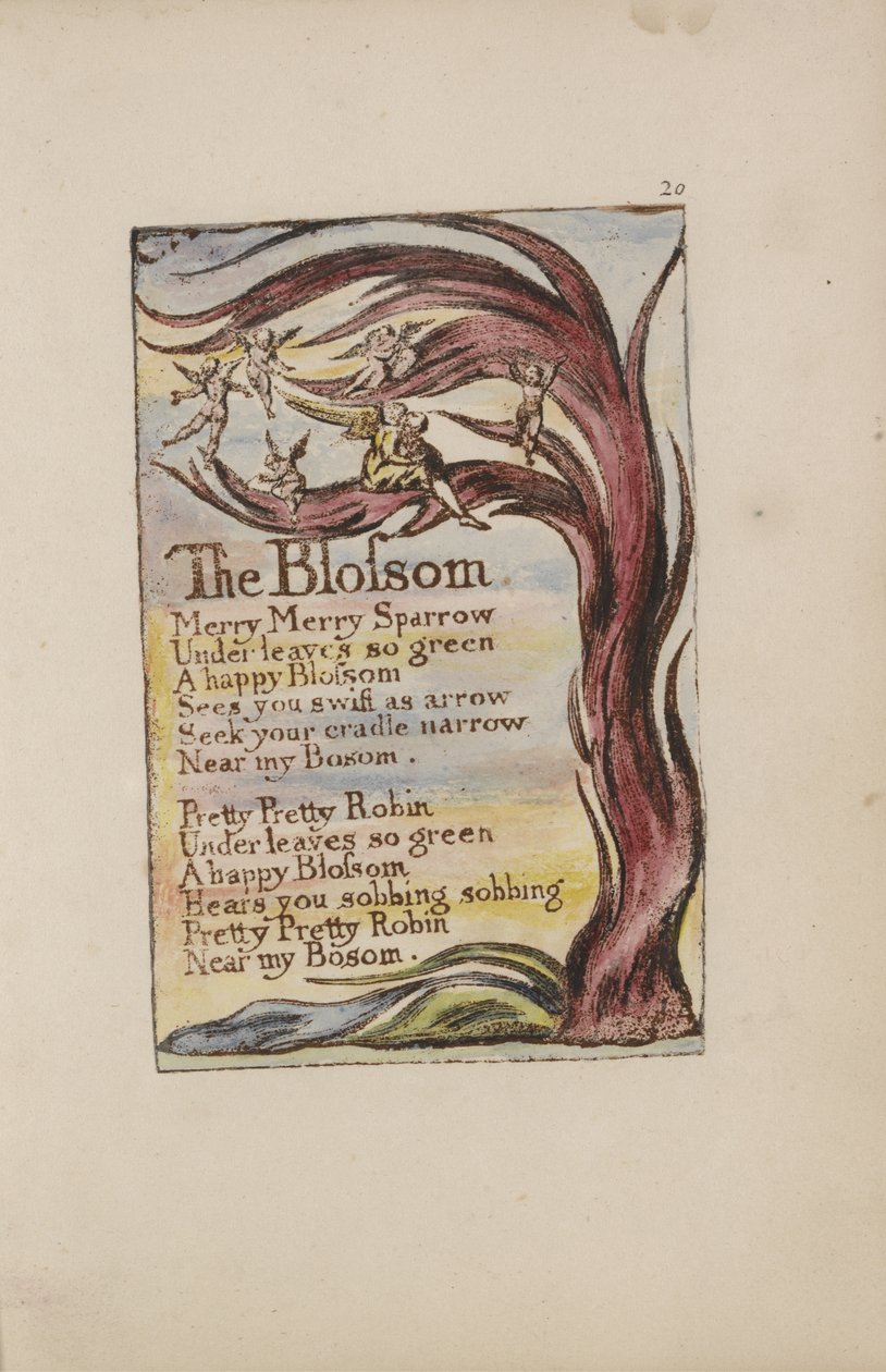 Die Blüte, Platte 20 aus Songs of Innocence and of Experience [Bentley 11] von William Blake