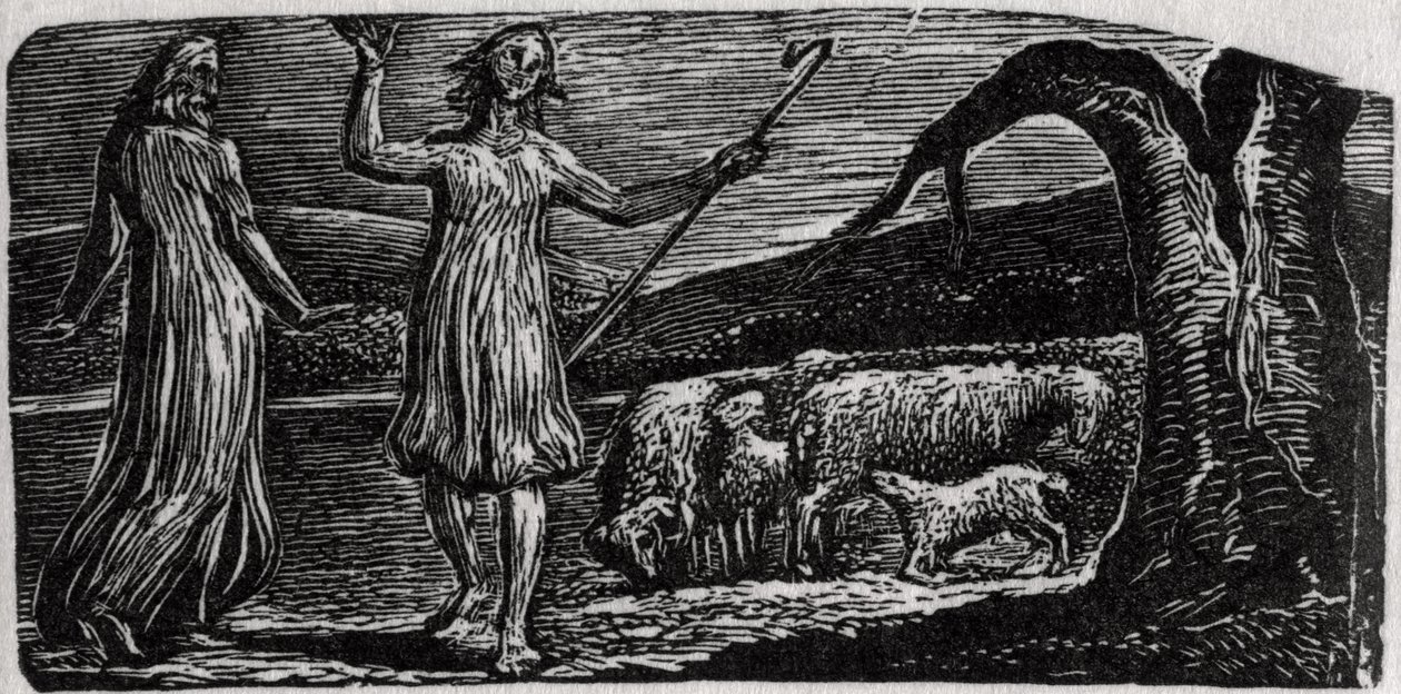 Thenot, mit Colinet, der seine Arme in Trauer schwenkt, Illustration ...