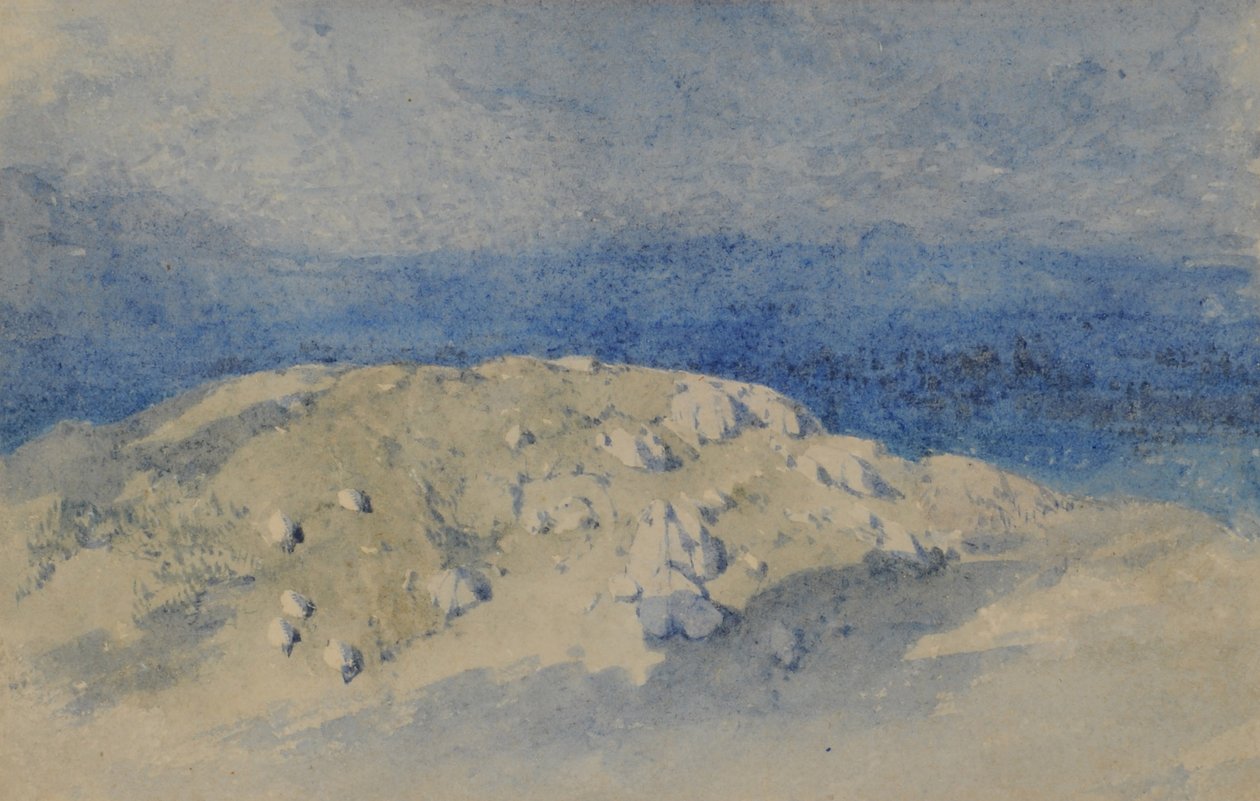 Hill Top von William James Blacklock