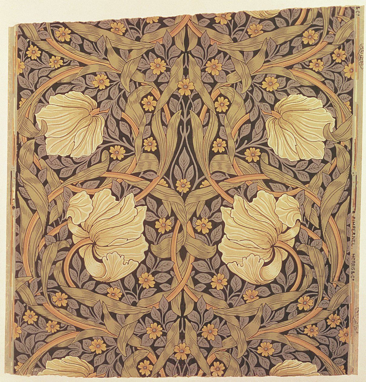 Pimpernel Tapetenentwurf, 1876 von William Morris