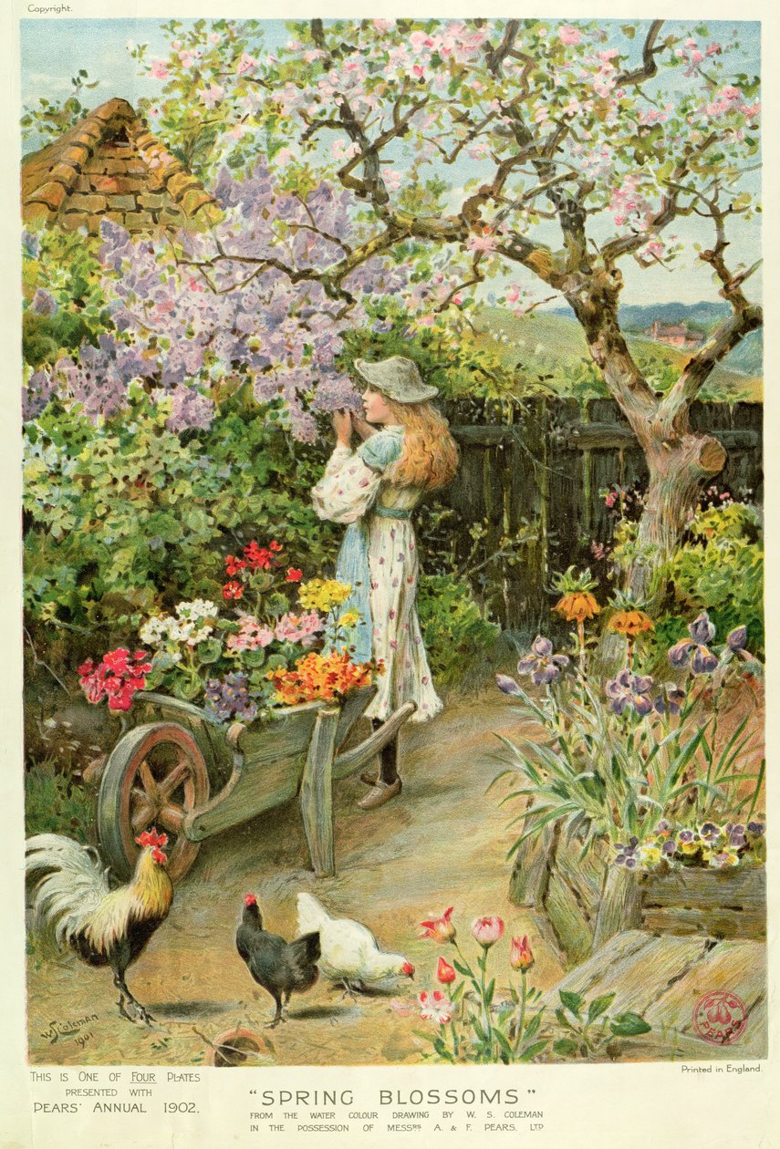 Frühlingsblüten, aus dem Pears Annual, 1902 von William Stephen Coleman